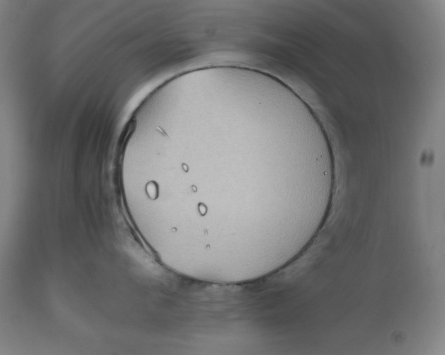 X0000112510912200909071305