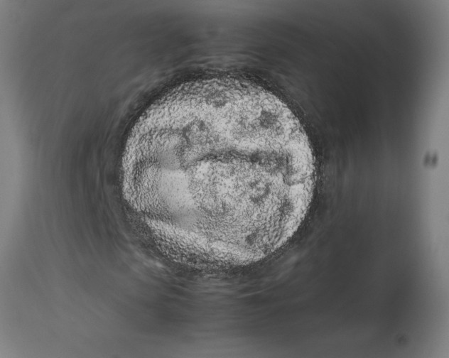 X0000112510913200909071304