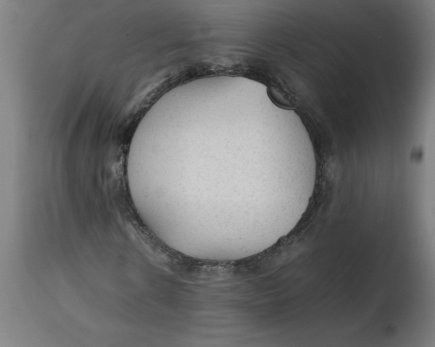 X0000112510914200909071304