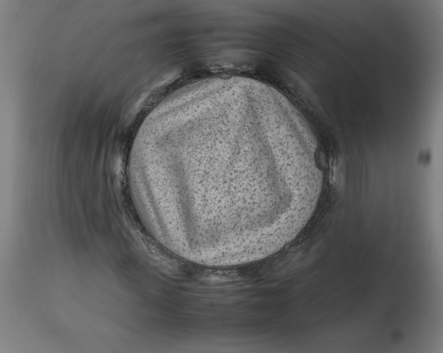 X0000112510915200909071304