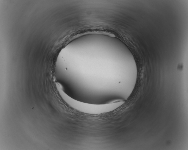 X0000112510916200909071304