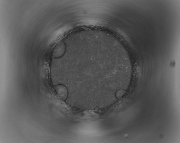 X0000112510918200909071305