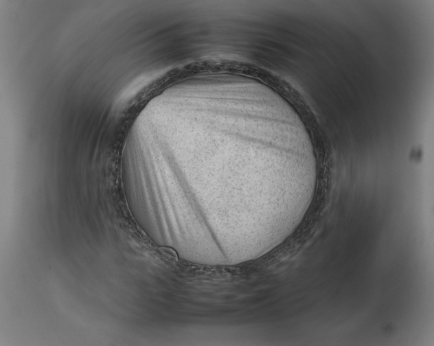 X0000112510919200909071305