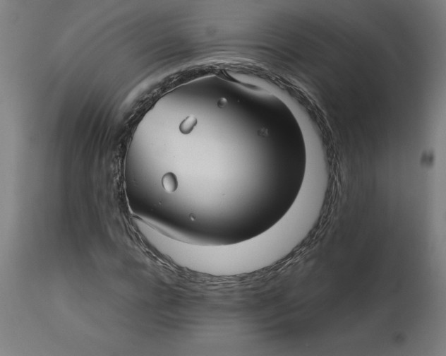 X0000112510920200909071305