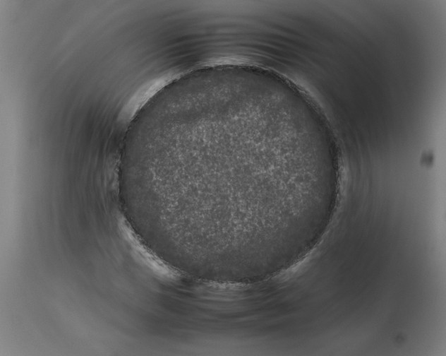 X0000112510921200909071305