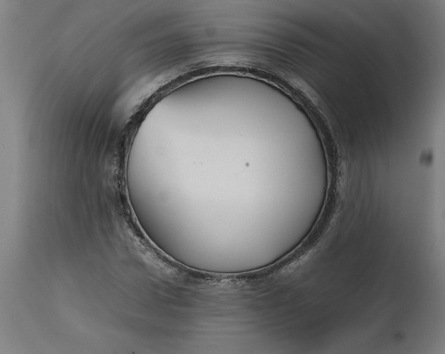 X0000112510922200909071305