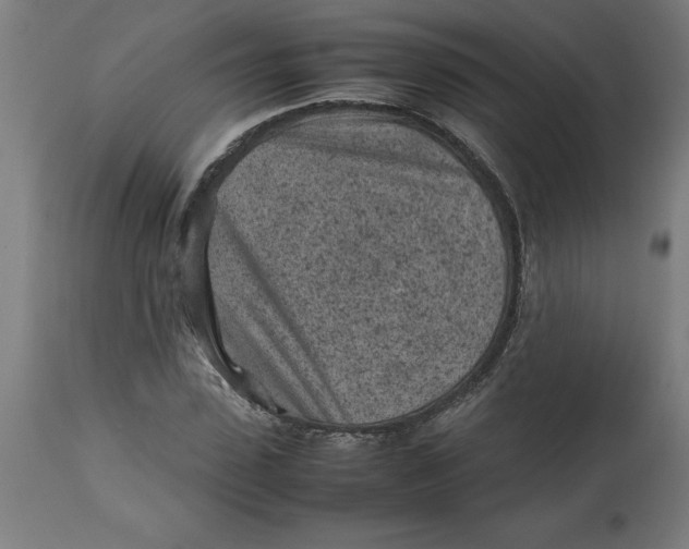 X0000112510923200909071305