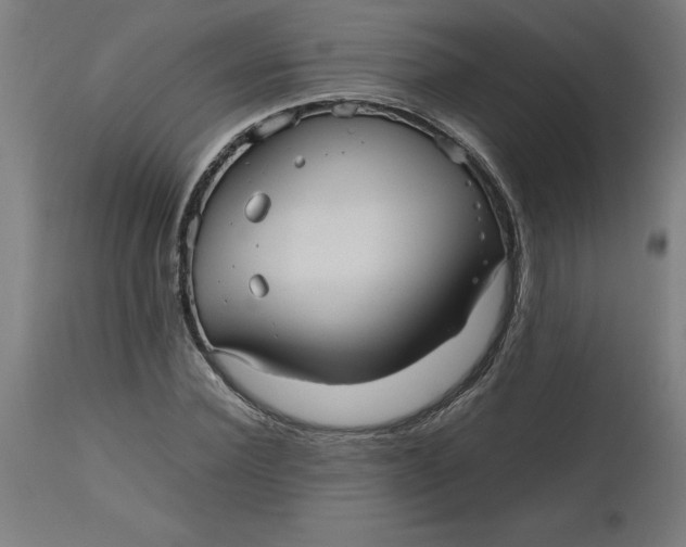 X0000112510924200909071305