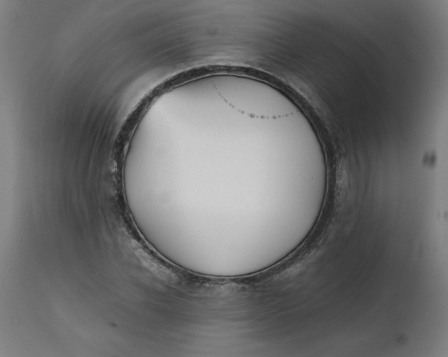 X0000112510926200909071305