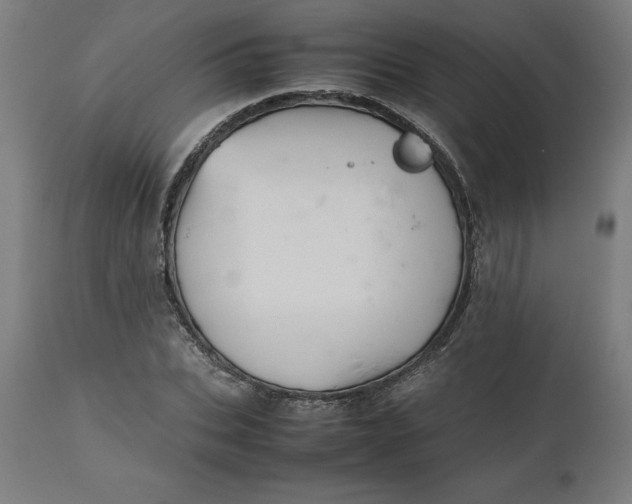 X0000112510927200909071305