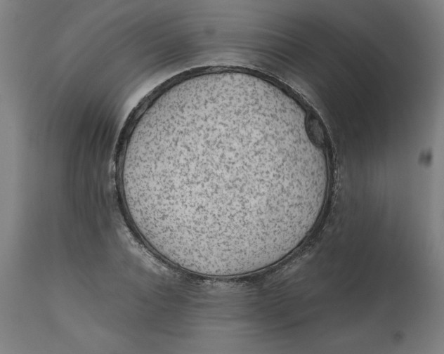 X0000112510928200909071305