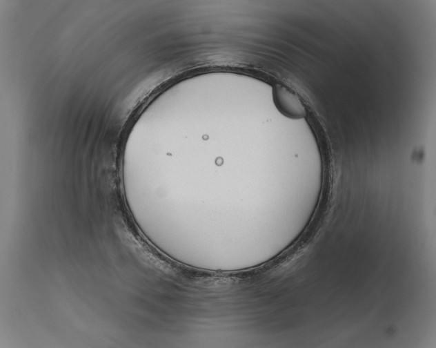 X0000112510930200909071305