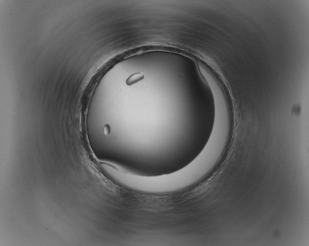 X0000112510931200909071305