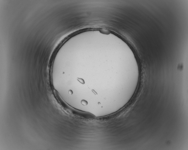 X0000112510932200909071305