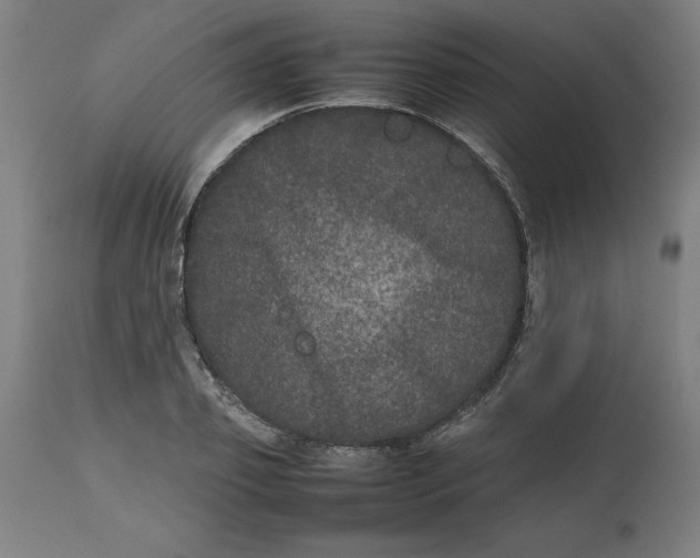 X0000112510933200909071305