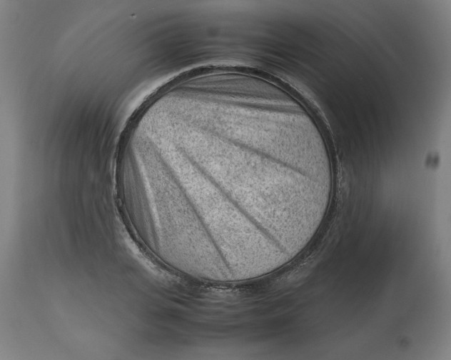 X0000112510935200909071305