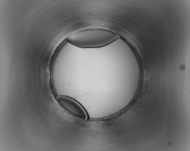 X0000112510936200909071305