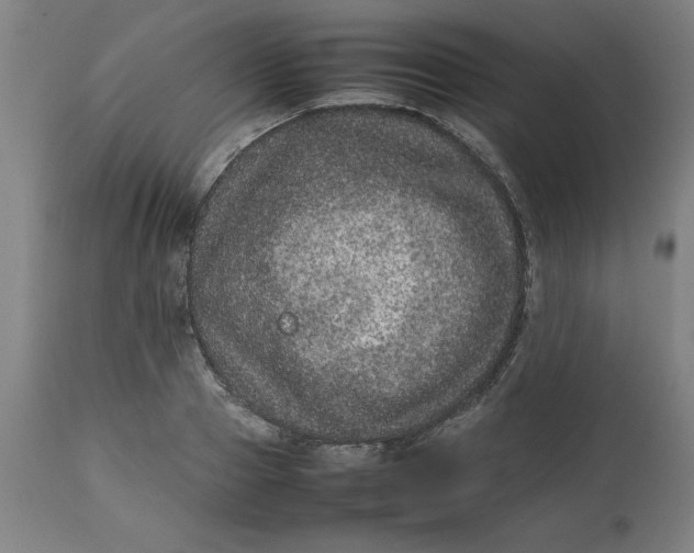 X0000112510937200909071305