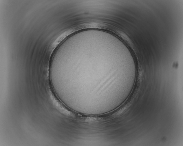 X0000112510938200909071305