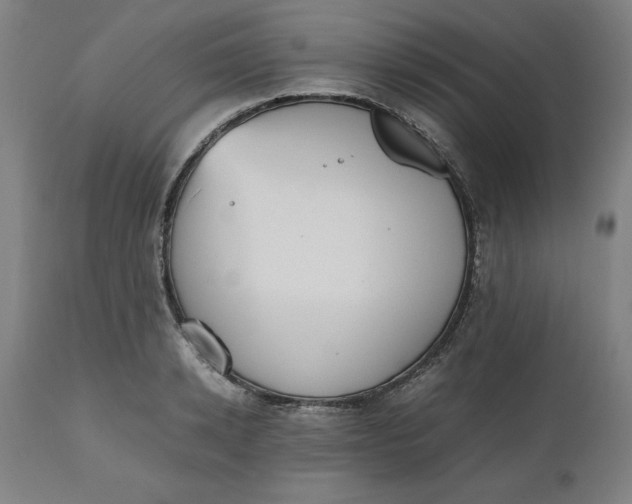 X0000112510942200909071305