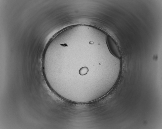 X0000112510944200909071305