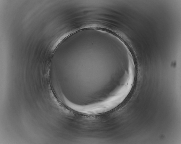 X0000112510945200909071305