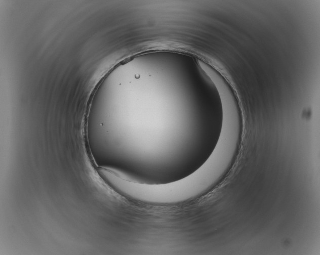 X0000112510946200909071305