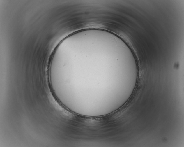 X0000112510947200909071305