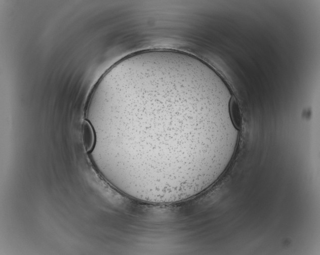 X0000112510948200909071305