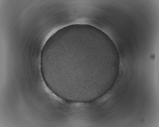 X0000112510950200909071305