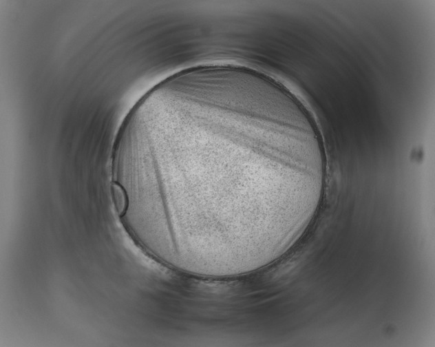 X0000112510951200909071305