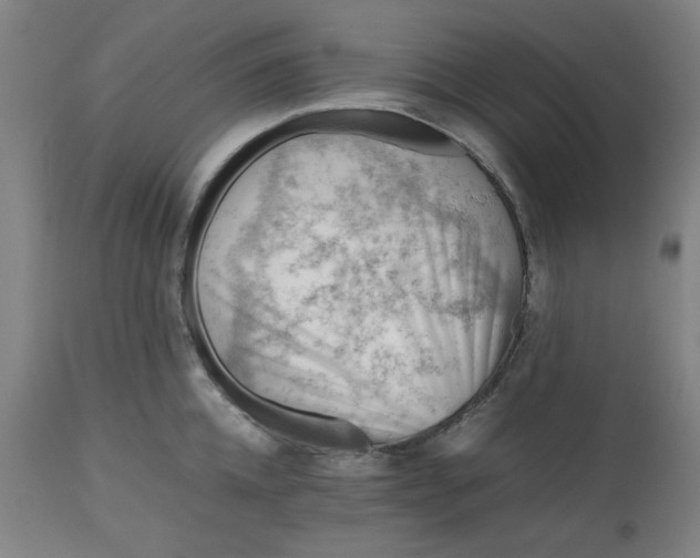 X0000112510952200909071305