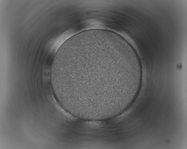 X0000112510953200909071305