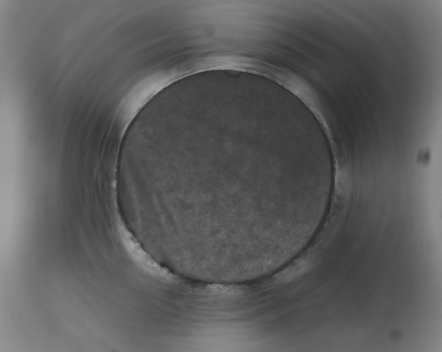 X0000112510954200909071305