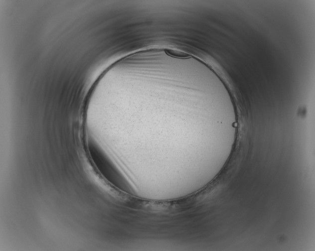 X0000112510955200909071305