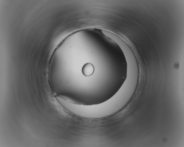 X0000112510956200909071305