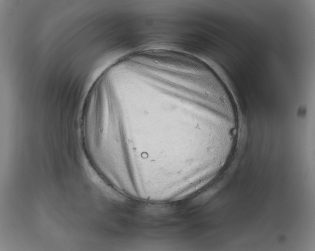 X0000112510957200909071305