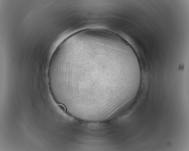 X0000112510959200909071305