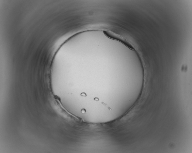 X0000112510960200909071305