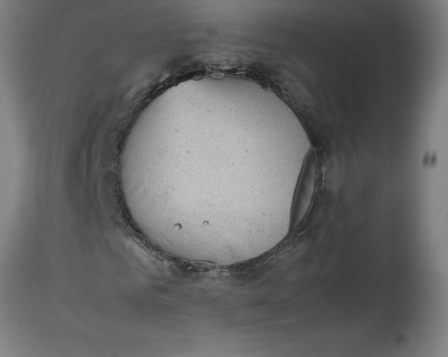 X0000112510961200909071304