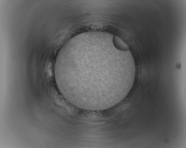 X0000112510962200909071304