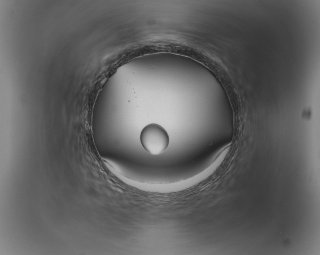 X0000112510965200909071304