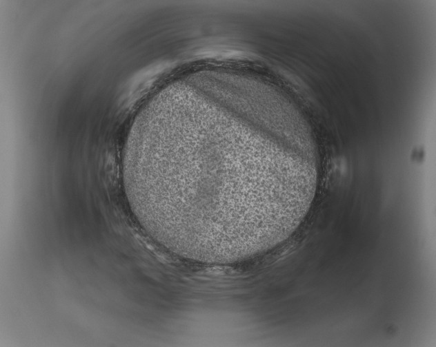 X0000112510966200909071304