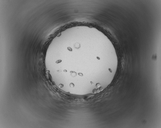 X0000112510968200909071304