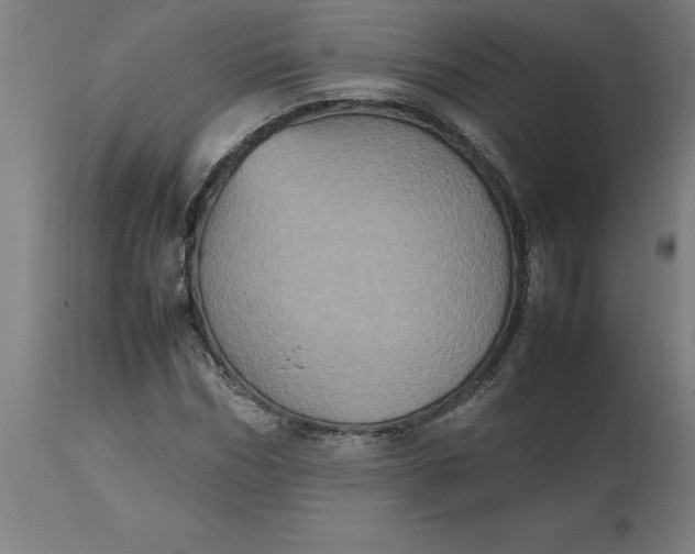 X0000112510970200909071304