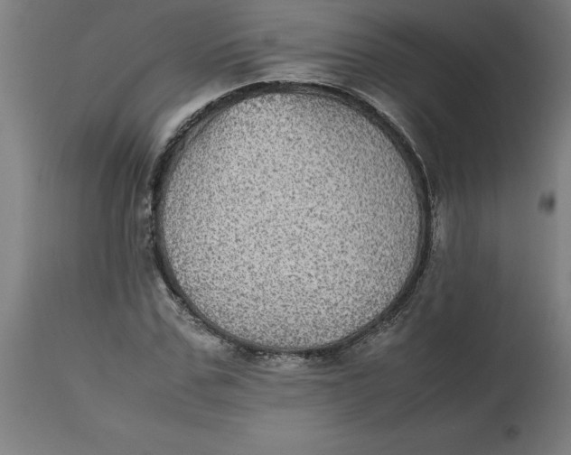 X0000112510971200909071304