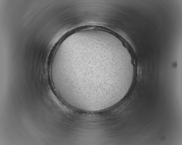 X0000112510972200909071304