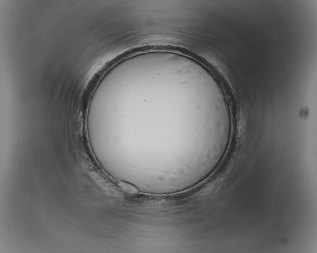 X0000112510973200909071304