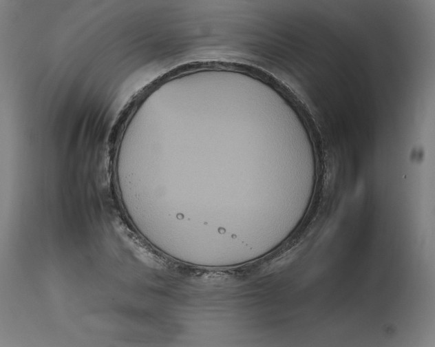 X0000112510974200909071304