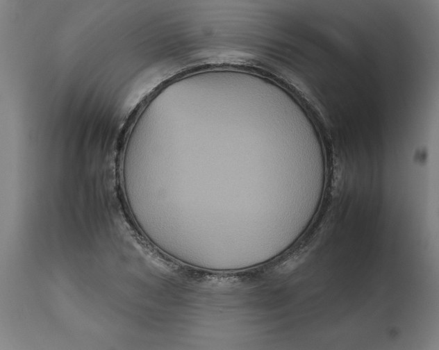 X0000112510978200909071304